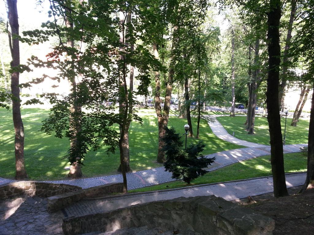 Park Guest *
