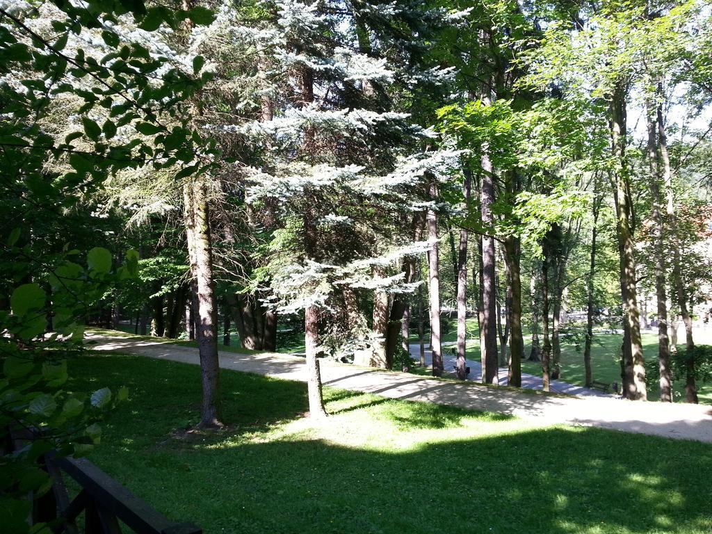 Park Guest Apartment *